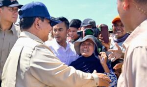 FB_IMG_1767194765174