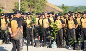 IMG-20260714-WA0081