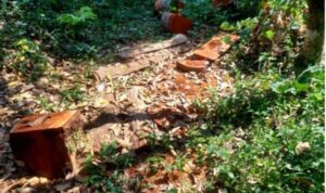 IMG-20260716-WA0090